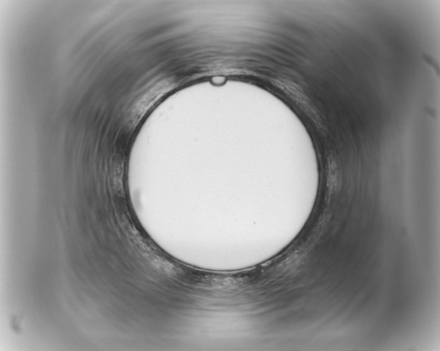 X0000101461273200808041033