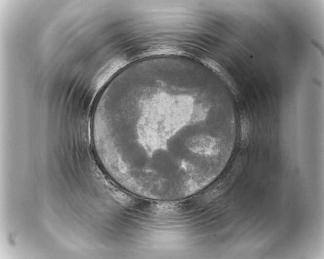 X0000101461274200808041033