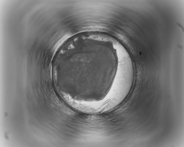 X0000101461275200808041033
