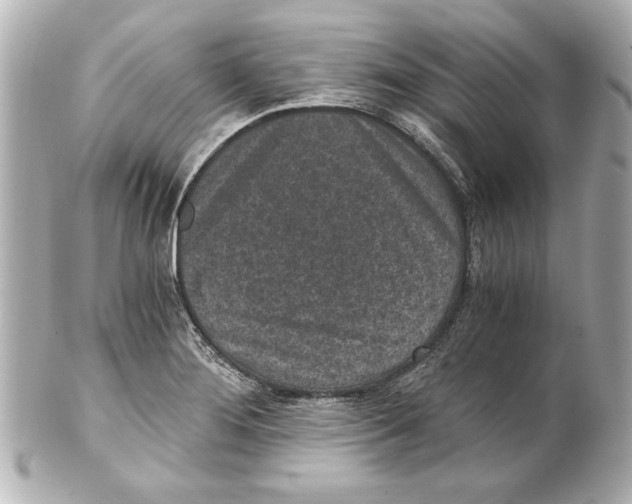 X0000101461276200808041033