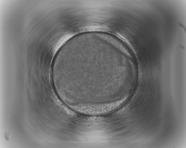 X0000101461277200808041033