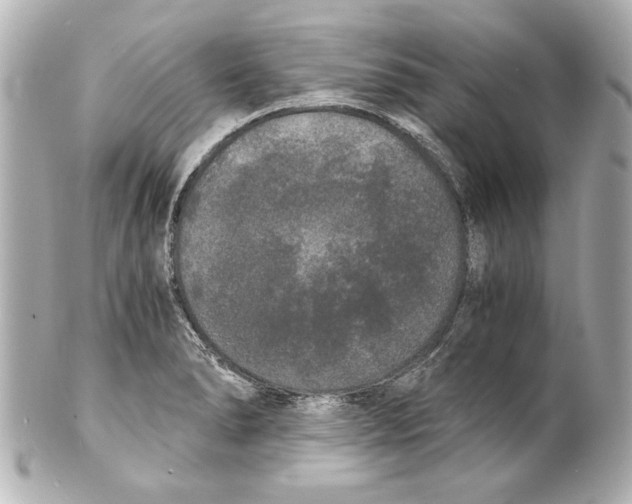 X0000101461278200808041033