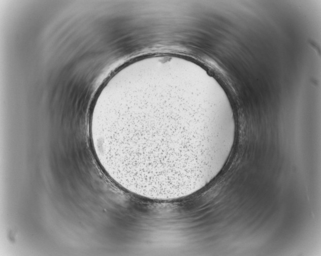 X0000101461280200808041033