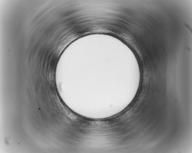 X0000101461281200808041033