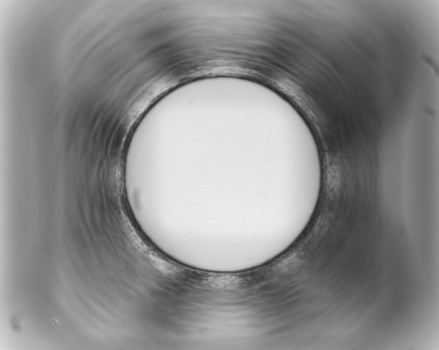 X0000101461282200808041033