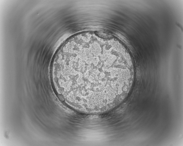 X0000101461283200808041033