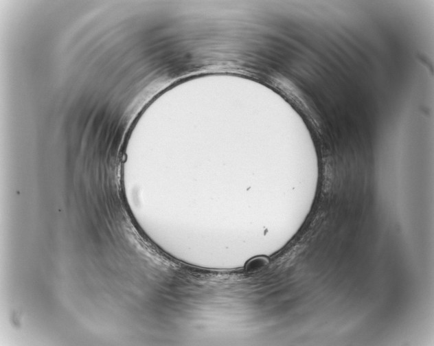 X0000101461284200808041033