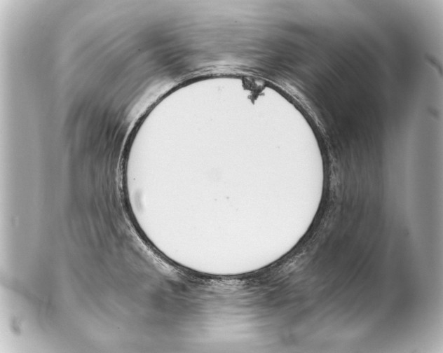 X0000101461285200808041033