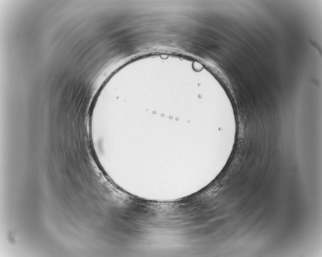 X0000101461287200808041033