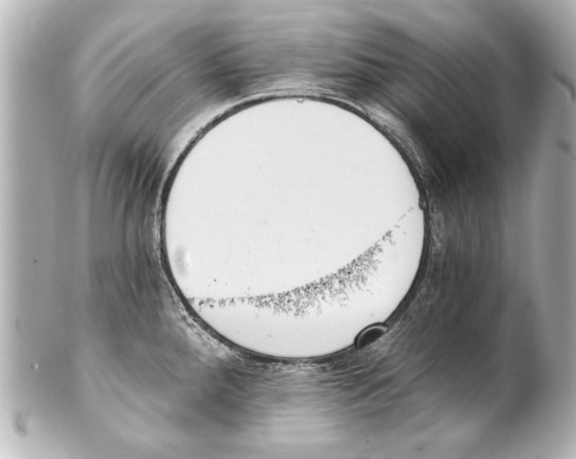 X0000101461288200808041033