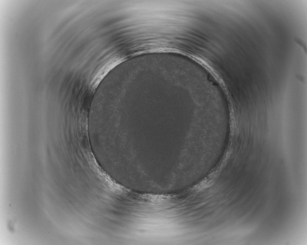 X0000101461289200808041033