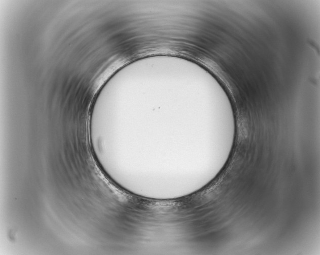 X0000101461290200808041033