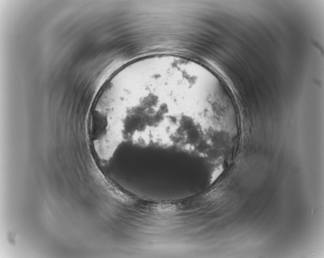 X0000101461291200808041033