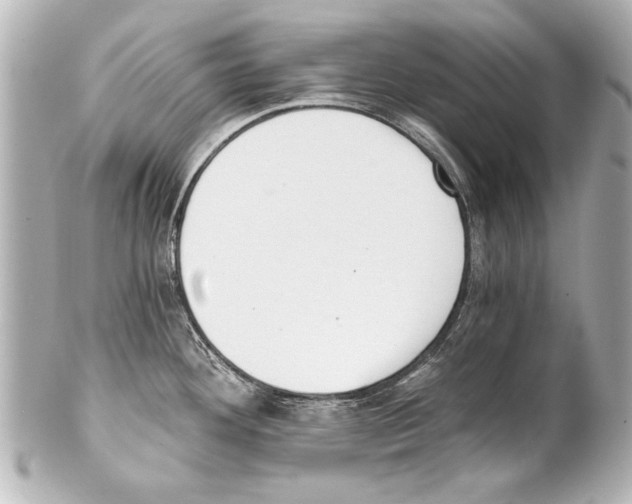 X0000101461292200808041033