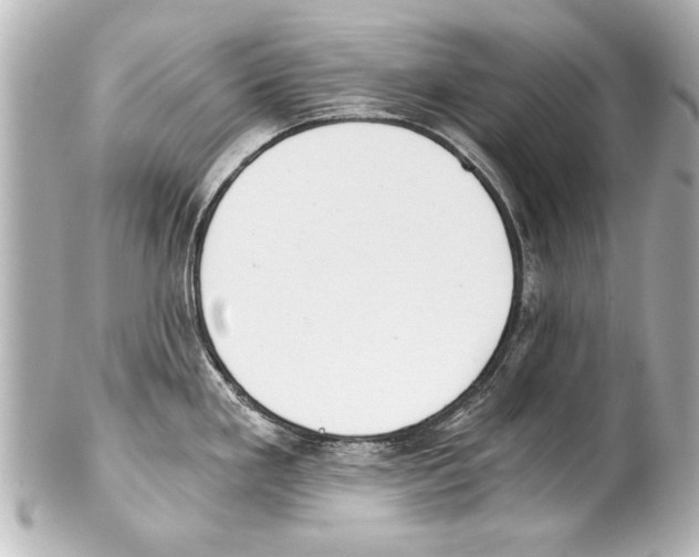 X0000101461293200808041033