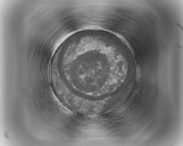 X0000101461295200808041033