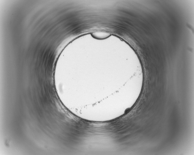 X0000101461296200808041033