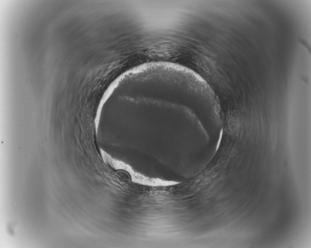 X0000101461297200808041032