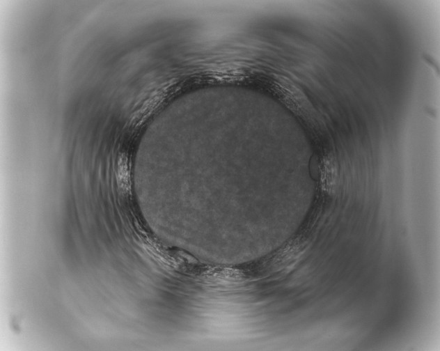 X0000101461298200808041032