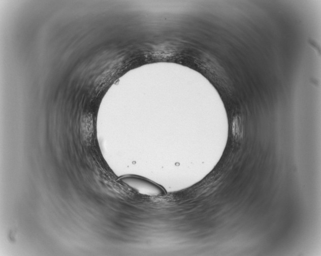 X0000101461299200808041032