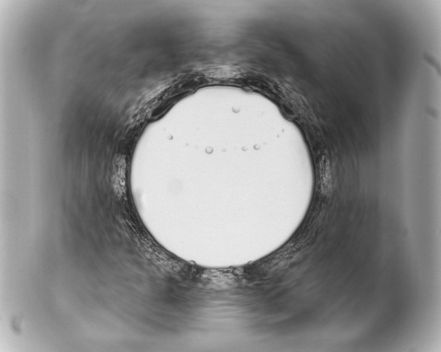 X0000101461301200808041032