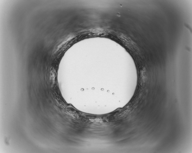 X0000101461302200808041032