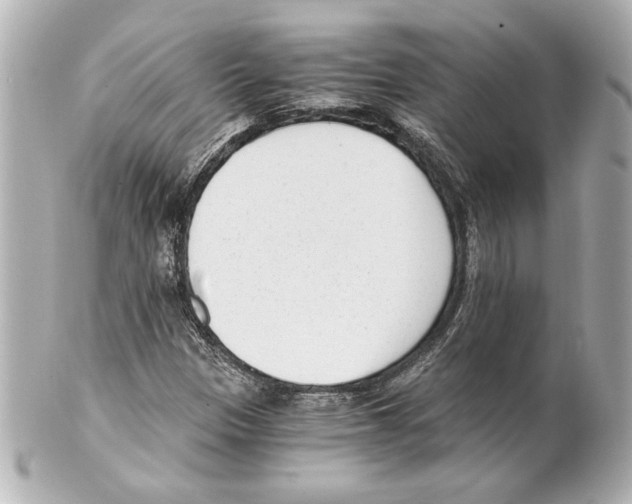 X0000101461305200808041032