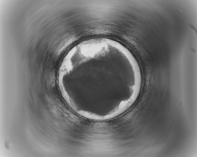 X0000101461306200808041032