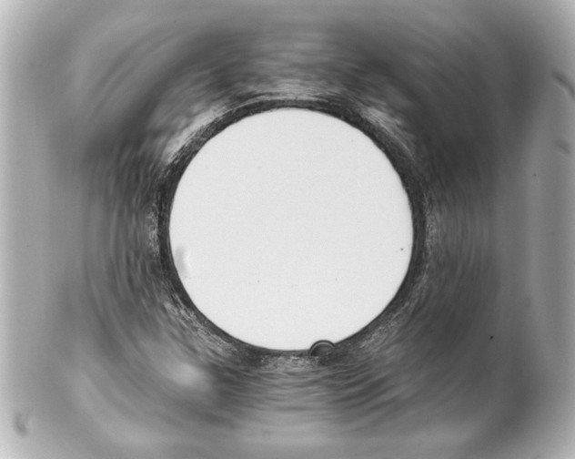 X0000101461307200808041032