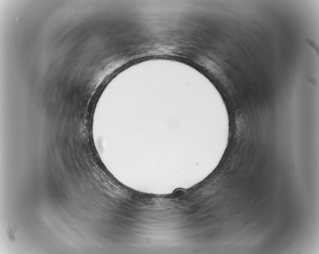 X0000101461308200808041032