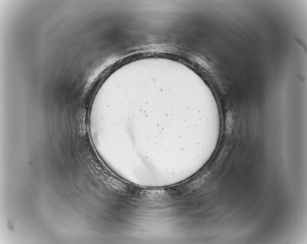 X0000101461310200808041032