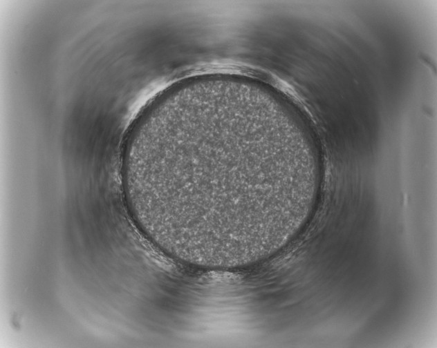 X0000101461312200808041032