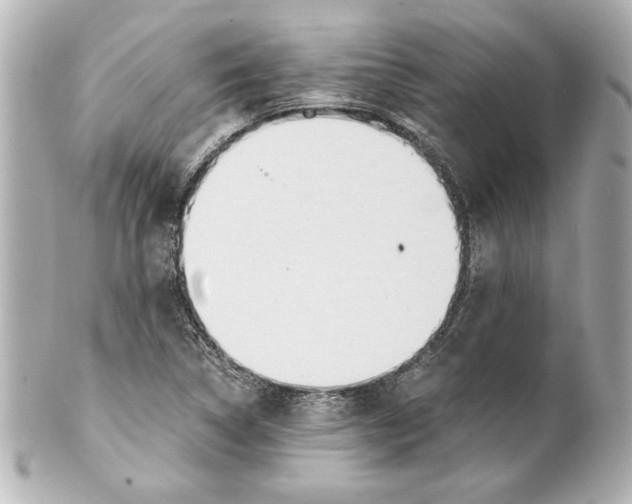 X0000101461314200808041032