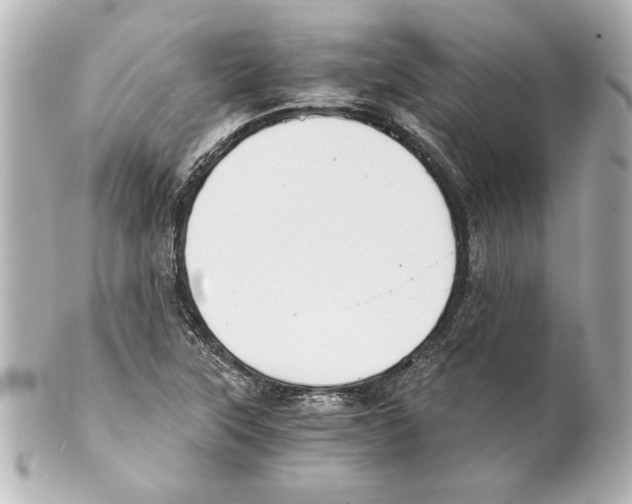 X0000101461315200808041032