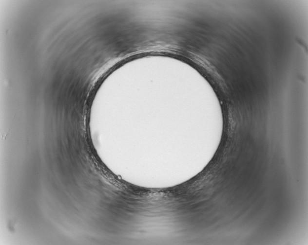 X0000101461316200808041032
