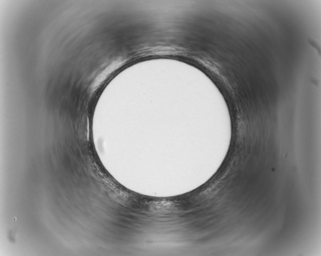 X0000101461317200808041032