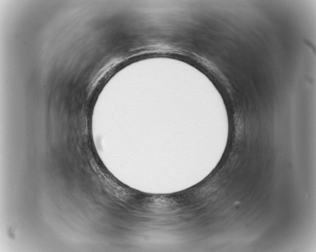 X0000101461318200808041032