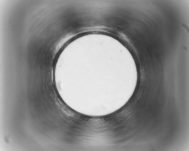 X0000101461320200808041032