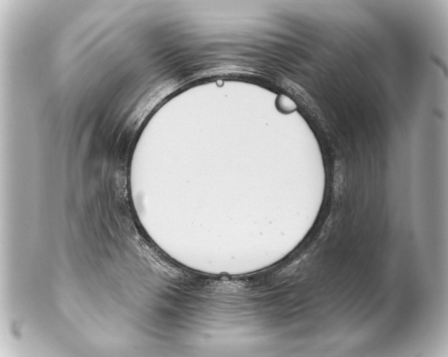 X0000101461321200808041033