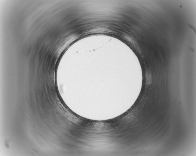 X0000101461322200808041033
