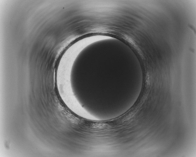 X0000101461323200808041033