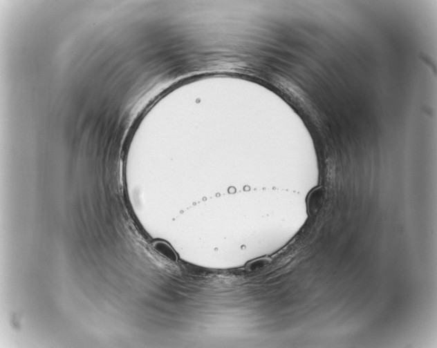 X0000101461324200808041033