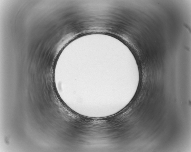 X0000101461325200808041033