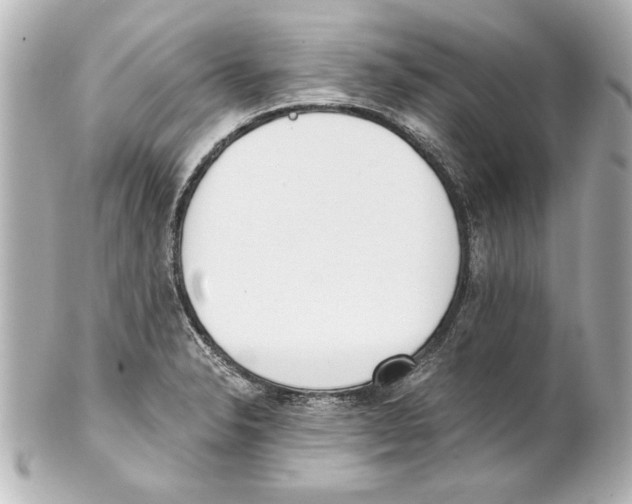 X0000101461326200808041033