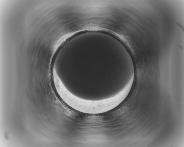 X0000101461327200808041033