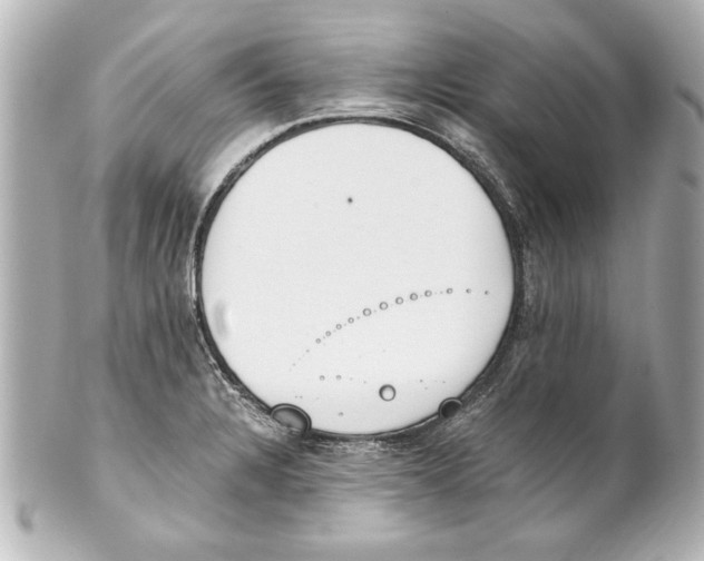 X0000101461328200808041033