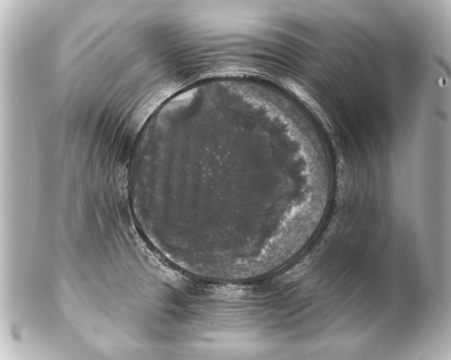 X0000101461329200808041033