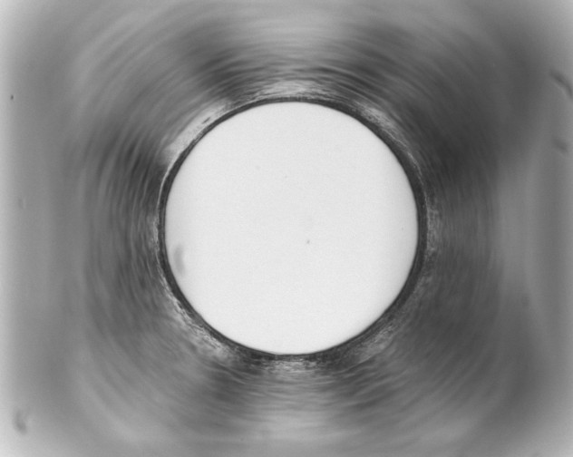 X0000101461330200808041033