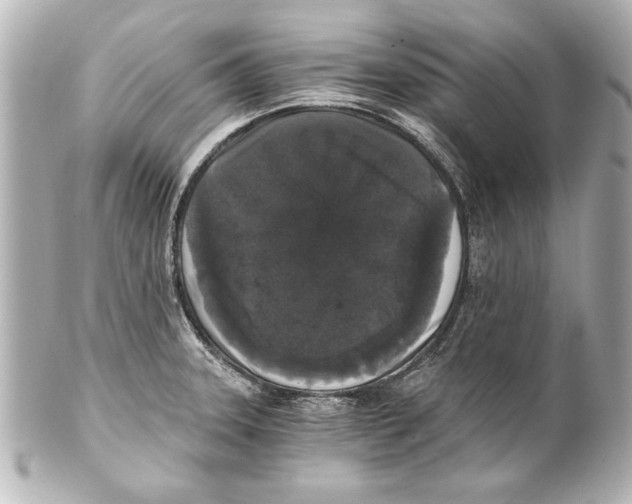 X0000101461331200808041033