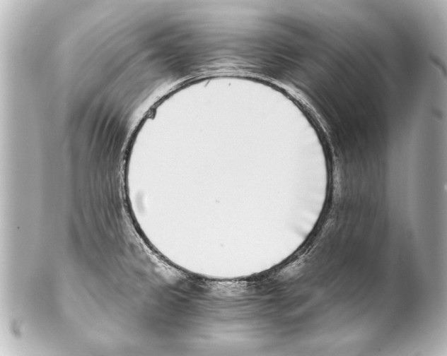 X0000101461333200808041033